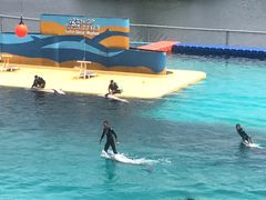 -秦皇岛乐岛海洋王国