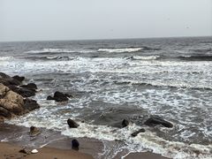 -老虎石海上公园