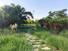 -东疆建设开发纪念公园