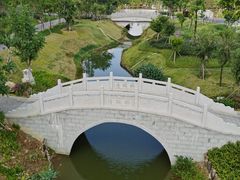 -王借岗森林公园