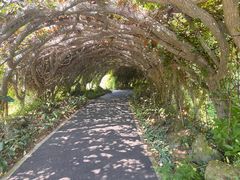 -广西壮族自治区药用植物园
