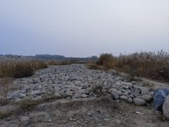 -绿堤公园