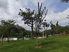 -白石龙音乐公园