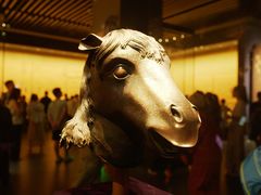 -广西壮族自治区博物馆