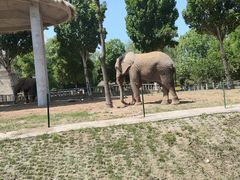 -石家庄市动物园