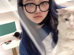 -飞行喵MR PILOT|猫舍·猫咖(静安大融城店)