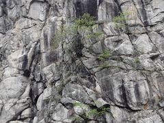 -尧山风景区