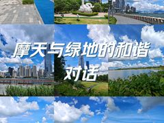 -深圳人才公园
