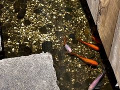 -邈墨茶馆(江南星座1店)