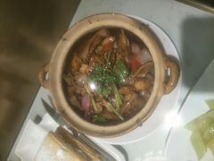 -南枝记