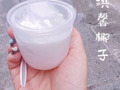 -洪馨椰子