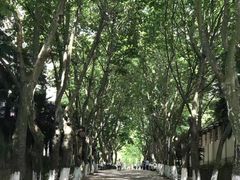 -华中科技大学百景园(三楼酒店)