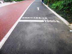 -南宁南湖公园