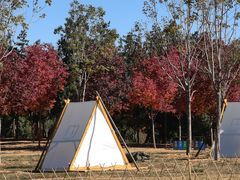 -北京西山国家森林公园