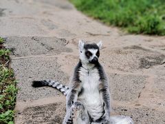 -云南野生动物园