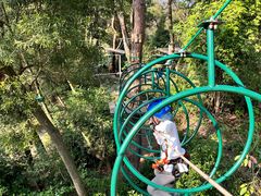 -芦仙山景区-飞越丛林探险乐园