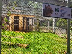 -合肥野生动物园