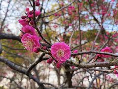 -灵山胜境