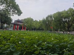 -四川大学(望江校区)