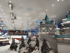 -长沙湘江冰雪世界