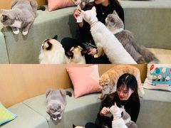 -CAT’S MEWSTAR CAFE·喵星球猫屋(晴湾咖啡店)