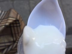 -洪馨椰子