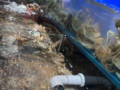 -苏格里岛自助烤肉海鲜火锅(成都金牛万达店)