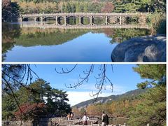 -庐山风景区花径公园