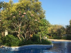 -三亚凤凰水城凯莱度假酒店