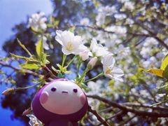 -新虹桥中心花园