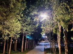 -元大都城垣遗址公园