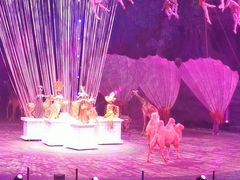 -广州长隆国际大马戏