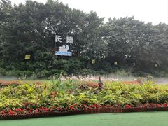 -广州长隆飞鸟乐园