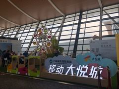 -上海浦东国际机场-T2航站楼