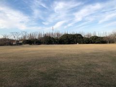 -上海滨江森林公园