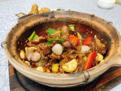 生啫牛舌-天宝食坊·啫啫煲大排档(西华路店)