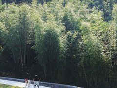 -广州市白云山风景名胜区