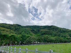 -瑞穗牧场