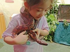 -美食小镇·观赏珍稀鸟类·长隆熊猫酒店