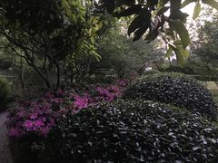 -杭州黄龙洞