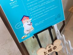 看家狗-上海崇明金茂凯悦酒店