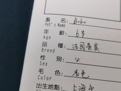-申普宠物医院·心脏介入·心血管微创(总院)