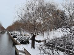 -元大都城垣遗址公园