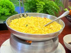 -丁老爷子苏香圆