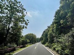 -宝界山林公园