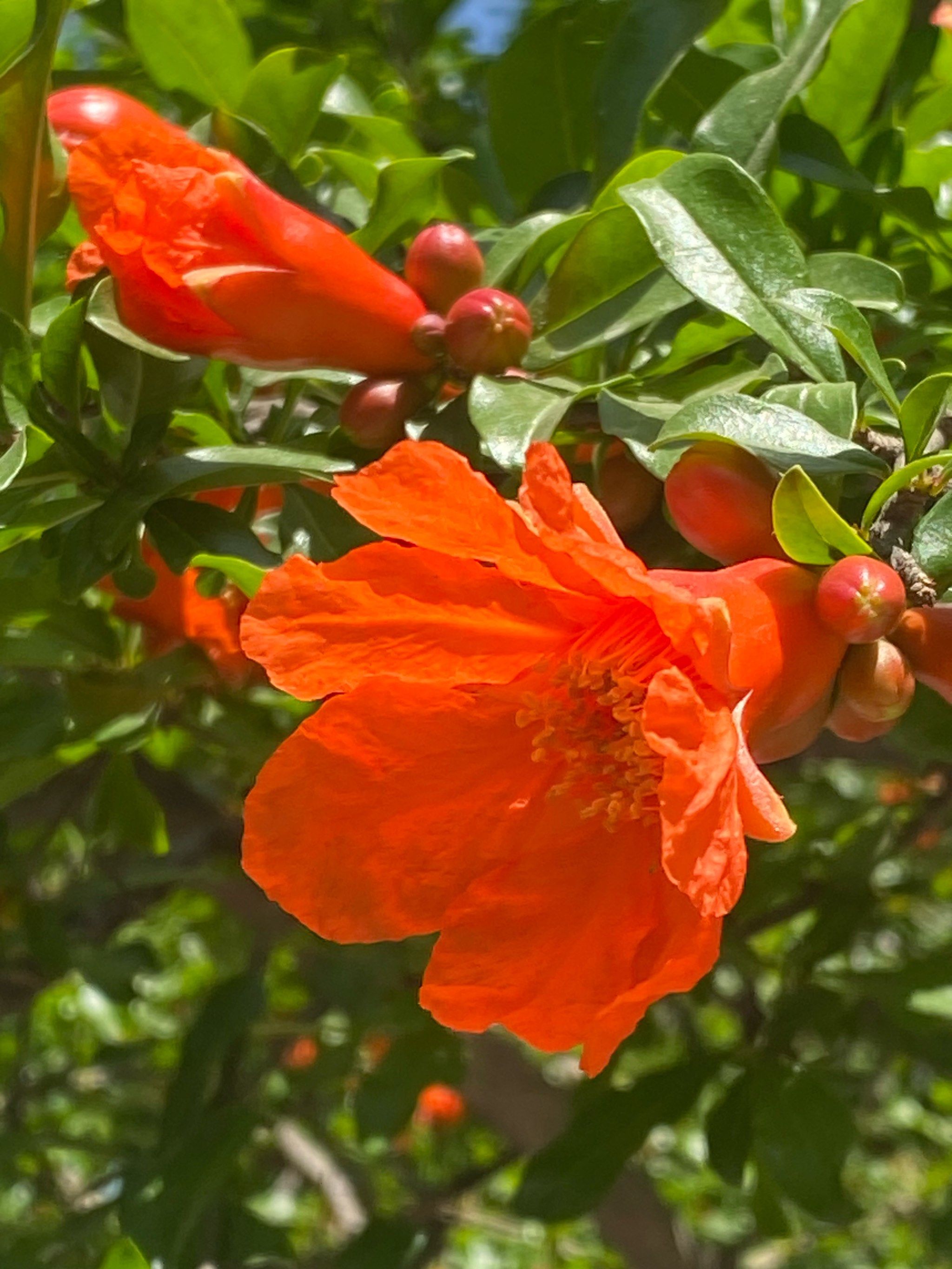 徒步沣东生态公园