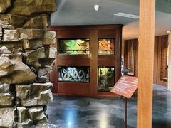 -帕帕拉兹宠物(亚洲旗舰店)