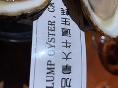 -普朗姆生蚝吧(原建国路店)