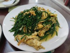 -范记靖远羊羔肉(博物馆店)
