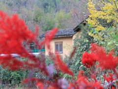 -塔川景区